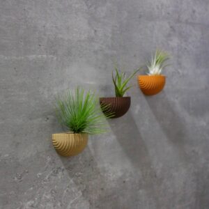 Mini Wall Fridge Mount Floating Vase 1” Magnetic Screw Modern 3D Printed Air Plant Gift Ideas Plants